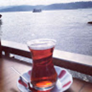 Meet your Posher, Hayal